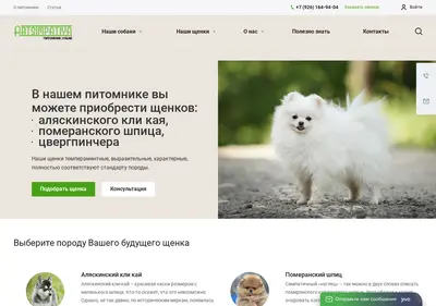 Снимок главной страницы artsimpatiya.ru