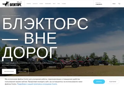 Снимок главной страницы blacktors.ru