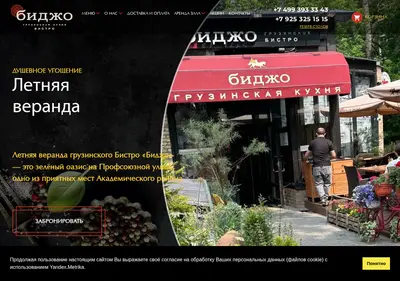 Снимок главной страницы bistrobidjo.ru