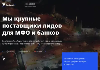 Снимок главной страницы proleads.su