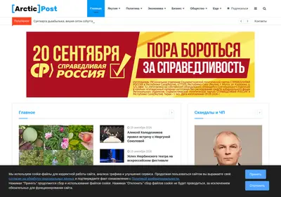 Снимок главной страницы arcticpost.ru