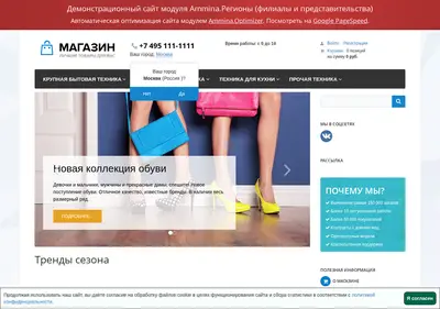 Снимок главной страницы ammina-demo.ru