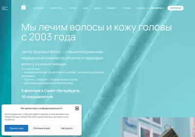 Снимок главной страницы besthairspb.ru