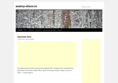 Снимок главной страницы andrey-eltsov.ru