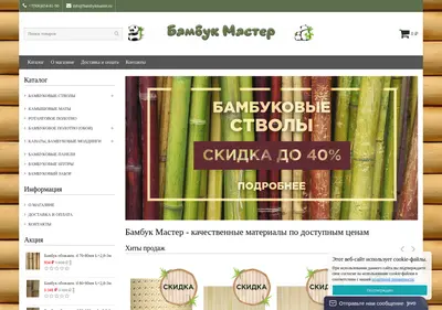 Снимок главной страницы bambykmaster.ru