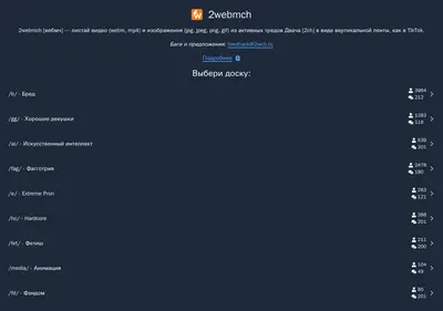 Снимок главной страницы 2webmch.ru