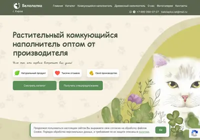 Снимок главной страницы belolapka.ru