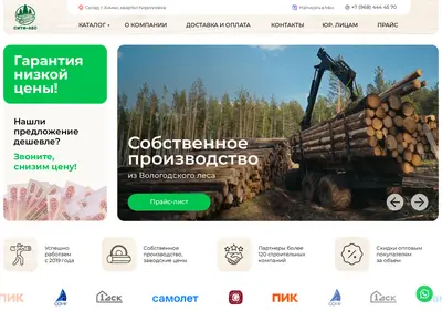 Снимок главной страницы city-les.ru