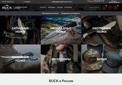 Снимок главной страницы buckshop.ru