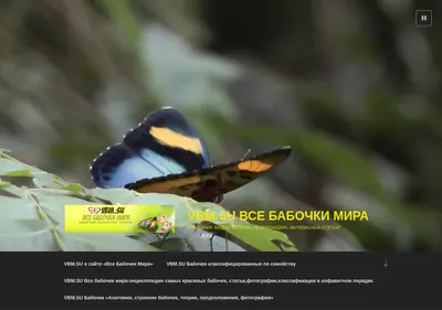 Снимок главной страницы vbm.su