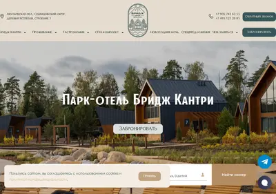 Снимок главной страницы bridge-country.ru