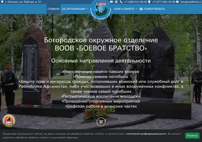 Снимок главной страницы bbnoginsk.ru