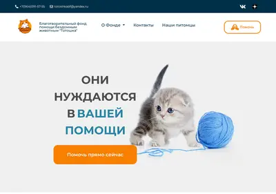 Снимок главной страницы bftotoshka.ru