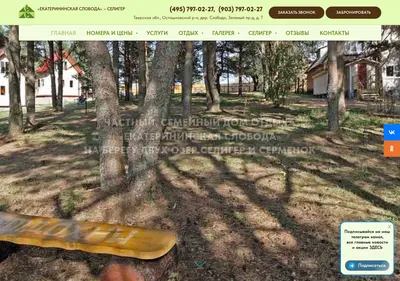 Снимок главной страницы celiger.ru