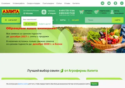 Снимок главной страницы ailita-shop.ru