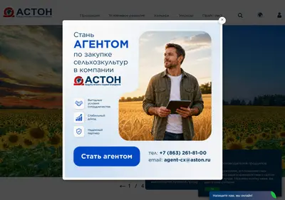 Снимок главной страницы aston.ru
