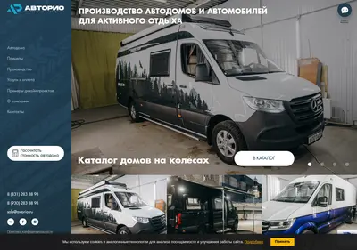 Снимок главной страницы avtorio.ru