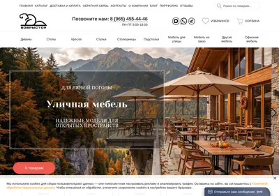 Снимок главной страницы bobristore.ru