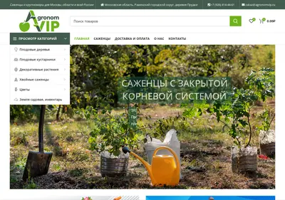 Снимок главной страницы agronomvip.ru