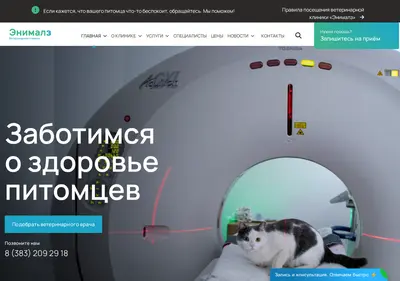 Снимок главной страницы animalz-nsk.ru
