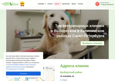 Снимок главной страницы vetus.su