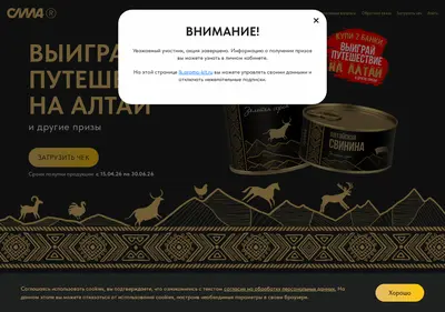 Снимок главной страницы altay-promo.ru
