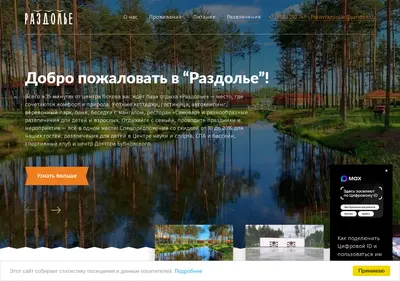 Снимок главной страницы razdolie.su