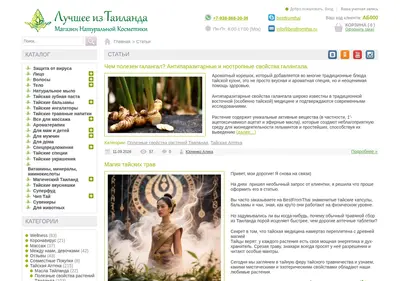 Снимок главной страницы bestfromthai.ru