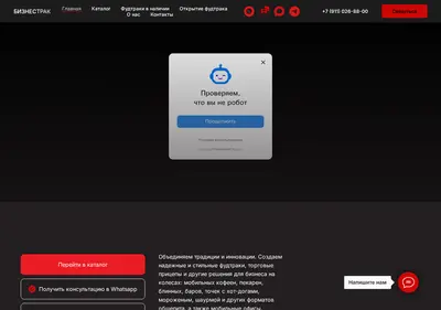 Снимок главной страницы biznesstruck.ru