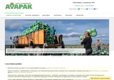 Снимок главной страницы avapak.ru