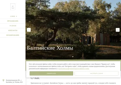 Снимок главной страницы baltic-hills.ru