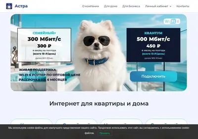 Снимок главной страницы astra-uk.ru