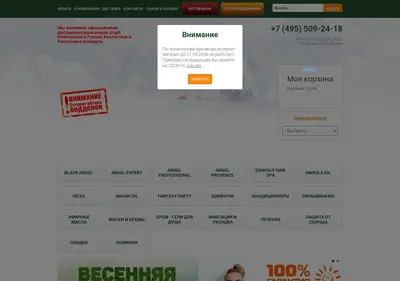 Снимок главной страницы angelprof.ru