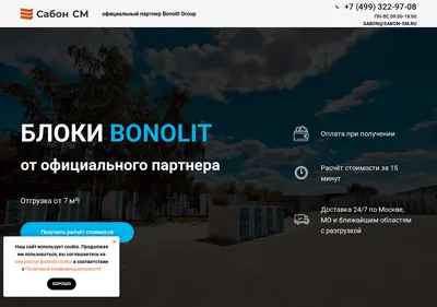 Снимок главной страницы bonolit-sabon.ru