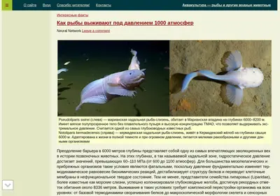Снимок главной страницы aquavitro.ru
