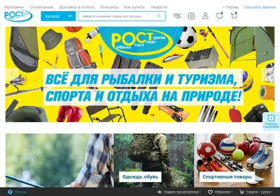 Снимок главной страницы 59rost.ru