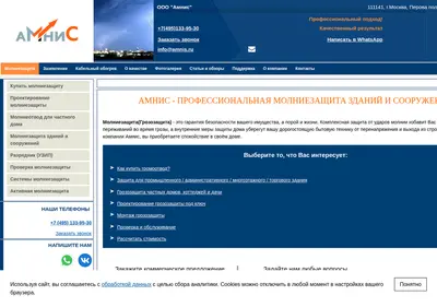 Снимок главной страницы amnis.ru