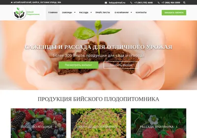 Снимок главной страницы bskpp.ru
