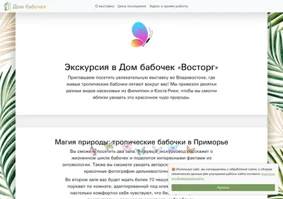 Снимок главной страницы babochki-vostorg.ru