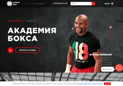 Снимок главной страницы boxing-academy.ru