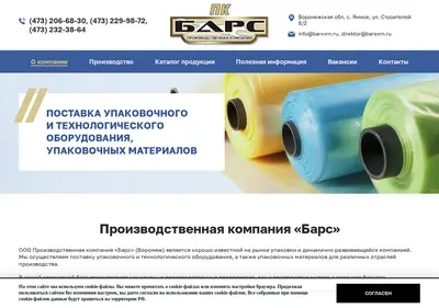 Снимок главной страницы barsvrn.ru
