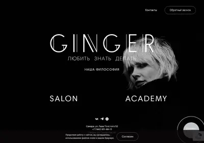 Снимок главной страницы academyginger.ru