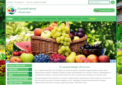 Снимок главной страницы alla-sad.ru