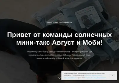 Снимок главной страницы augustdoma.ru