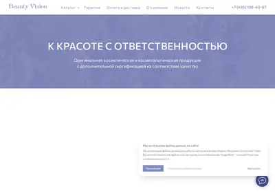 Снимок главной страницы b-vision.ru