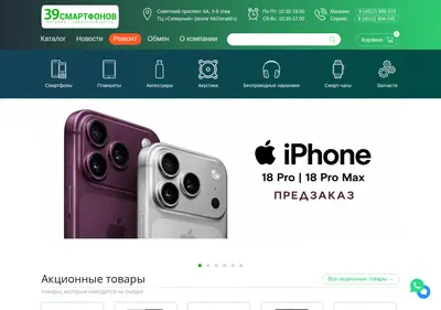 Снимок главной страницы 39smart.ru