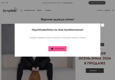 Снимок главной страницы batterflei.ru