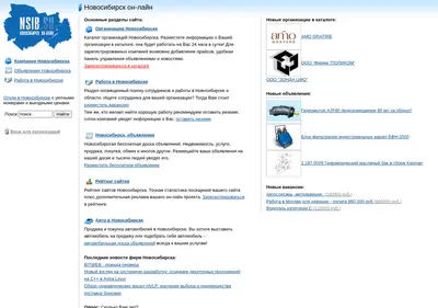 Снимок главной страницы nsib.su