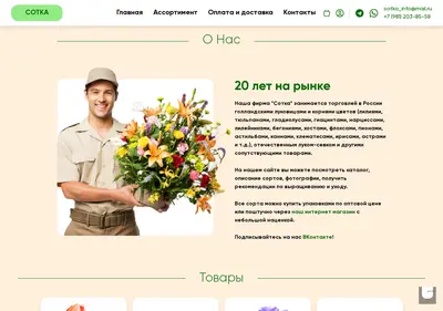 Снимок главной страницы bulbs.ru