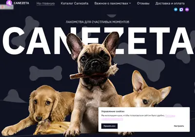 Снимок главной страницы canezeta.ru